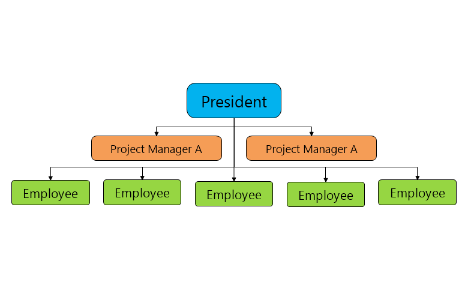 Flat Structure Organizational Chart